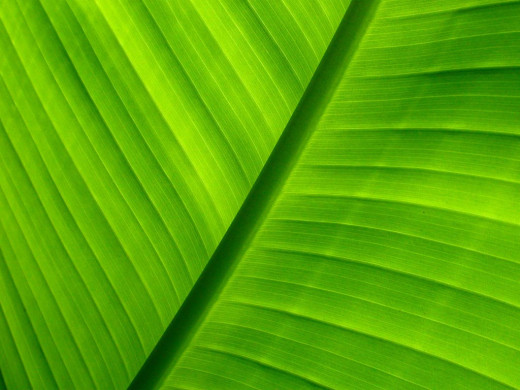 30568 (a): :1024x768